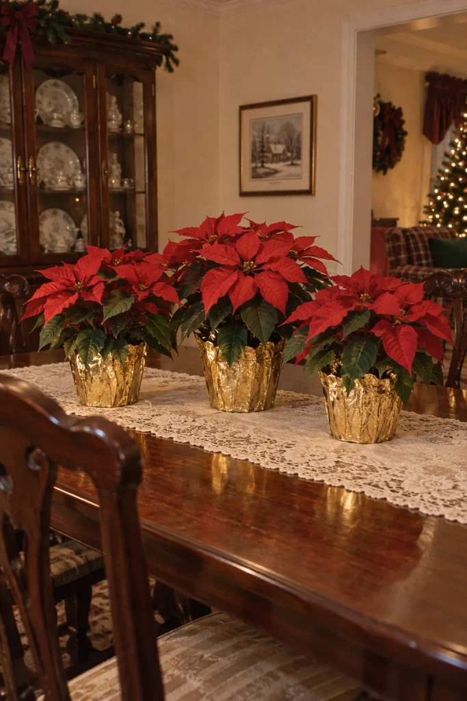 Red poinsettia in a gold foil-wrapped pot as a dining table centerpiece